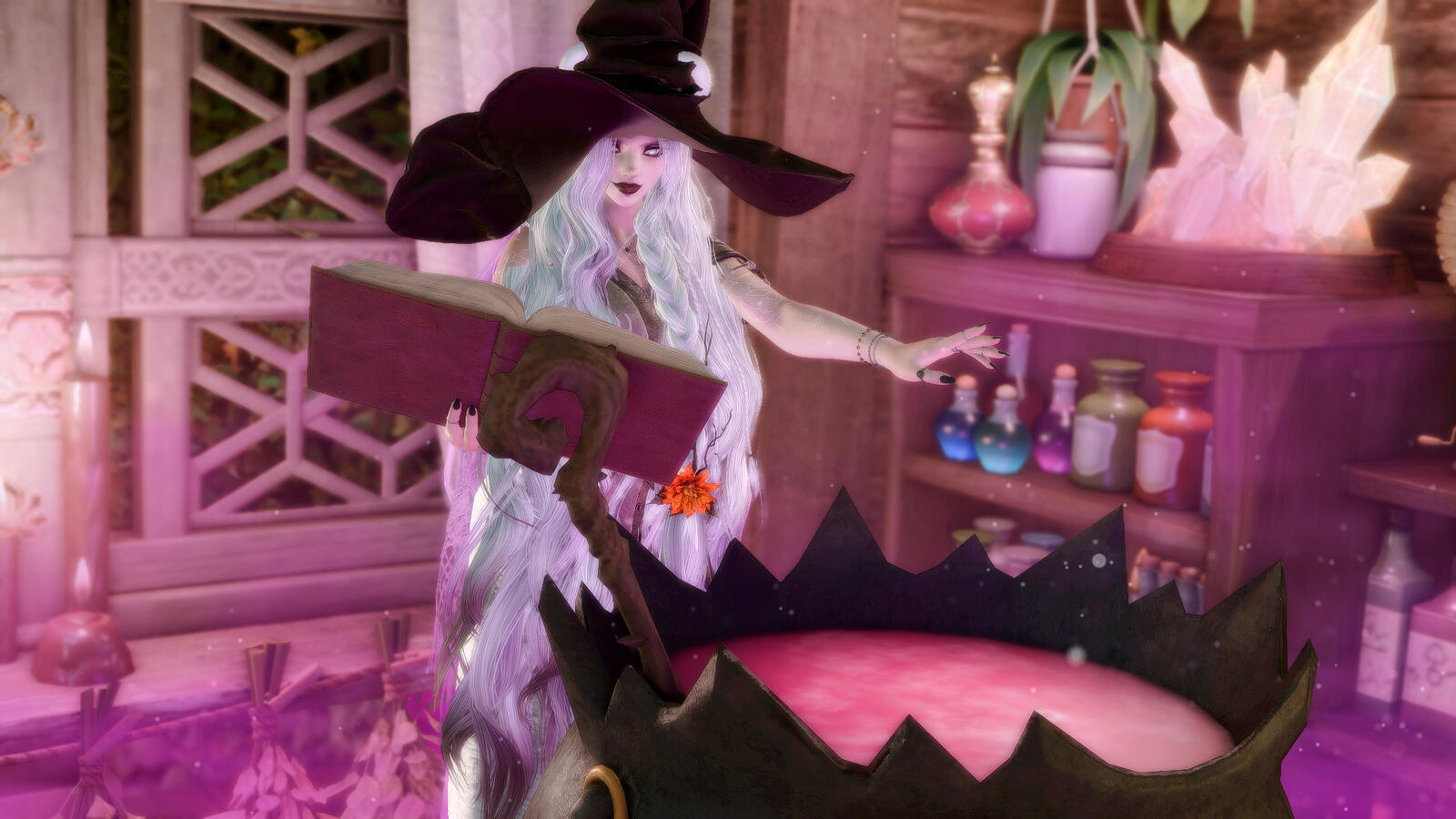 Swamp Witch